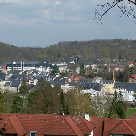 Appartamento Urlaub Und Arbeit In Waldheim Esterno foto